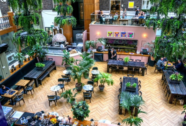 Taman gantung dengan tanaman-tanaman hias yang menarik